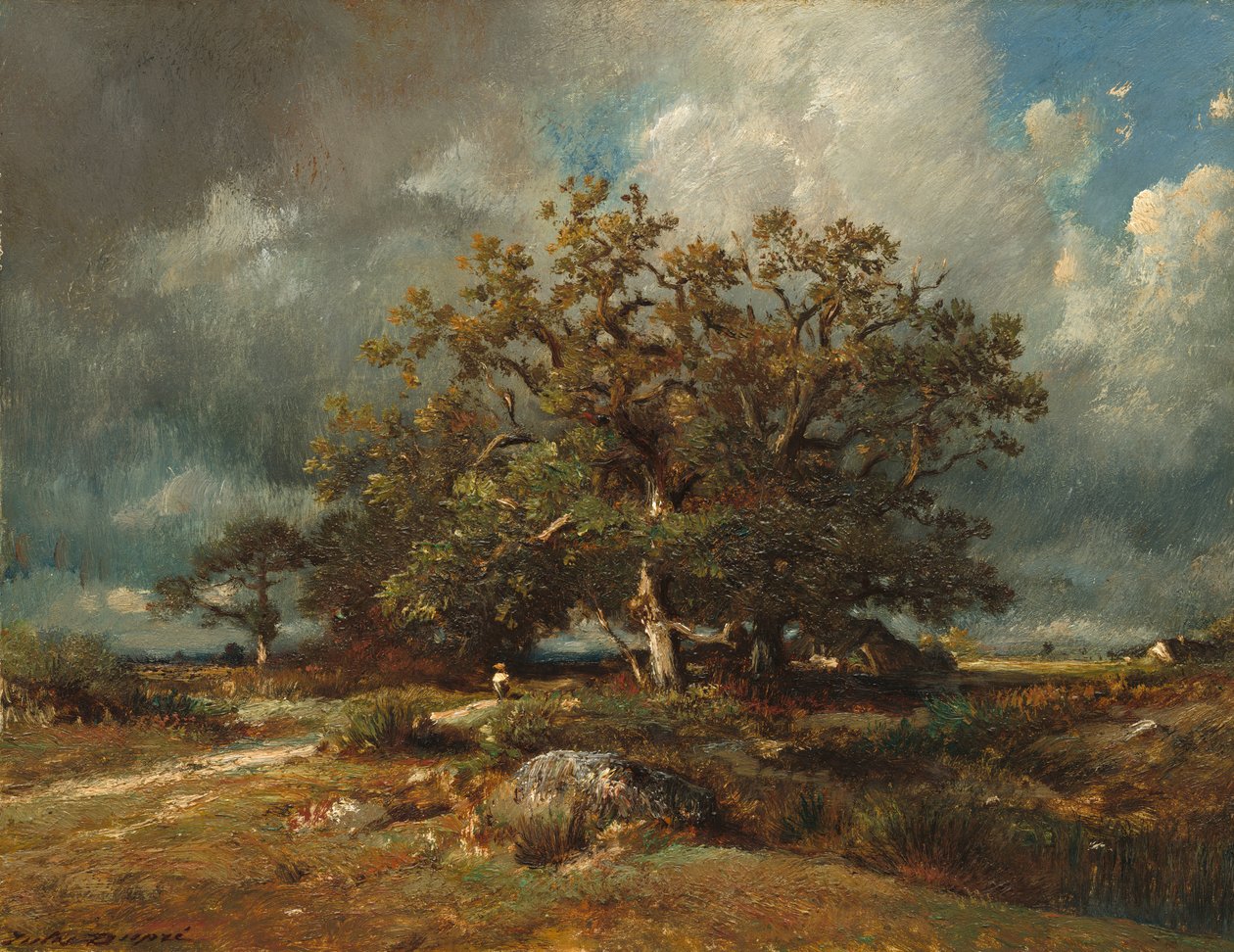 Starý dub od Jules Dupré