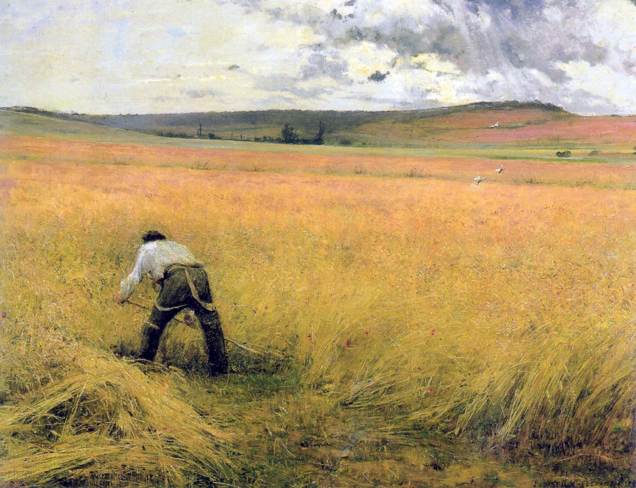 Zralá pšenice, 1880. od Jules Bastien Lepage