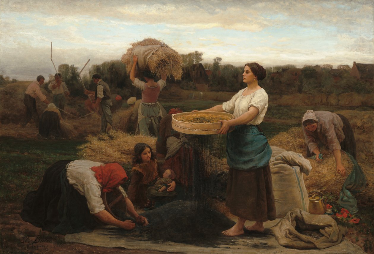 The Colza Harvesting Rapeseed, 1860. od Jules Breton