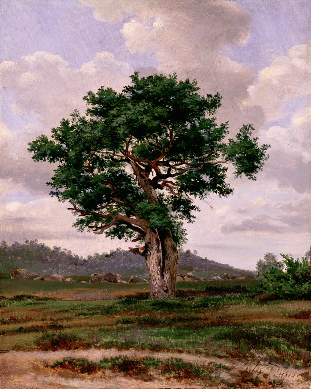 The Rager (vznětlivý) od Jules Dupré