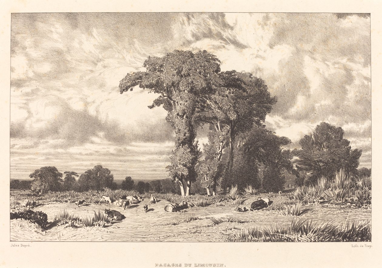 Pastviny Limousin od Jules Dupré