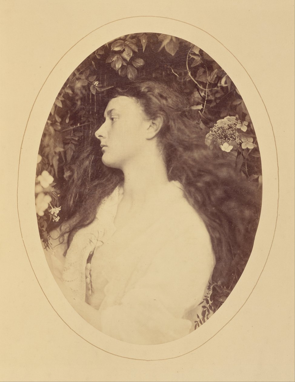 (Alethea) od Julia Margaret Cameron