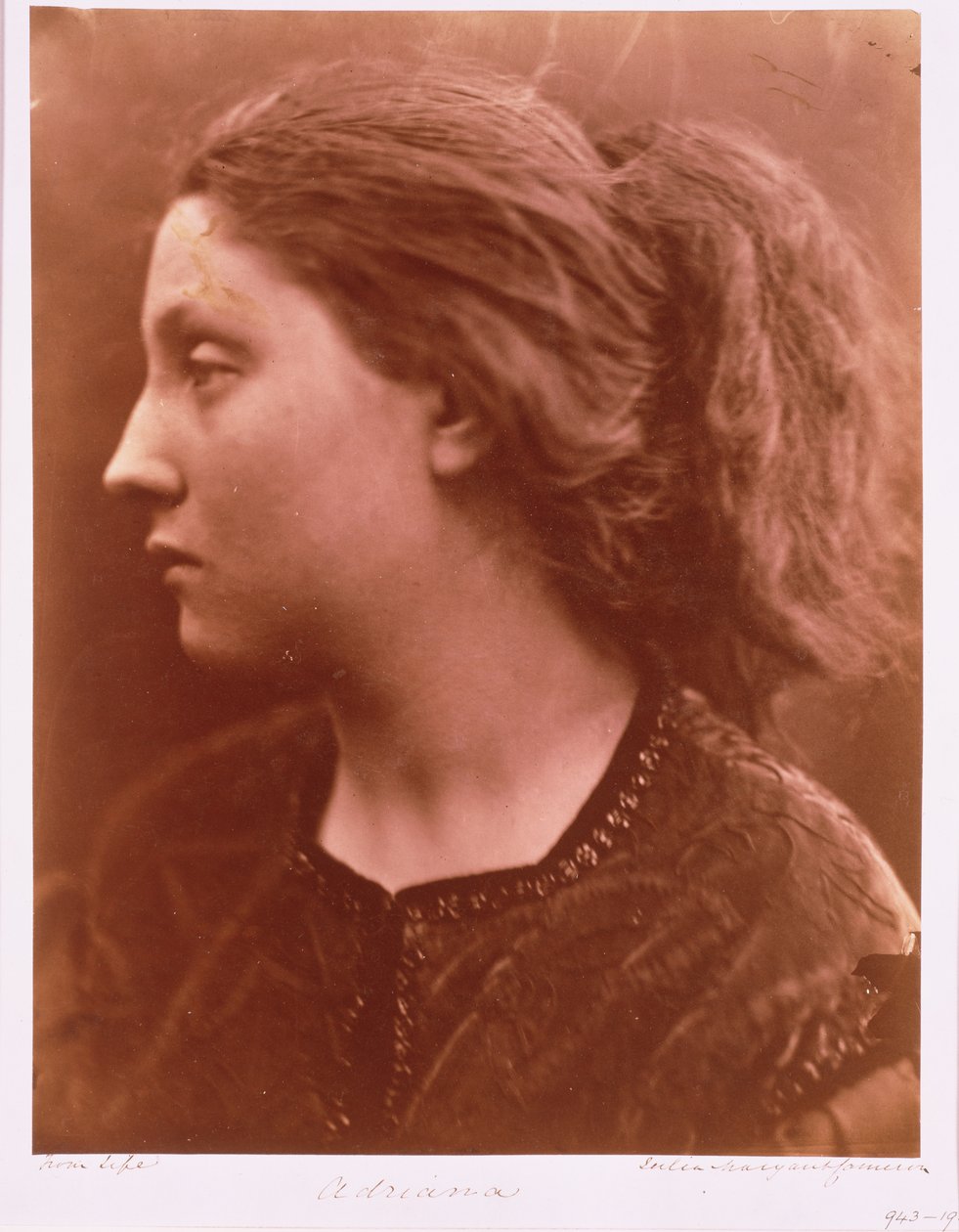 Adriana od Julia Margaret Cameron