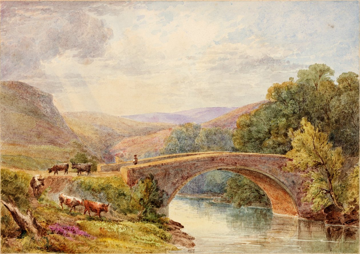 Lewisburn Bridge, North Tyne wc na papíře na kartě od Julia Swinburne
