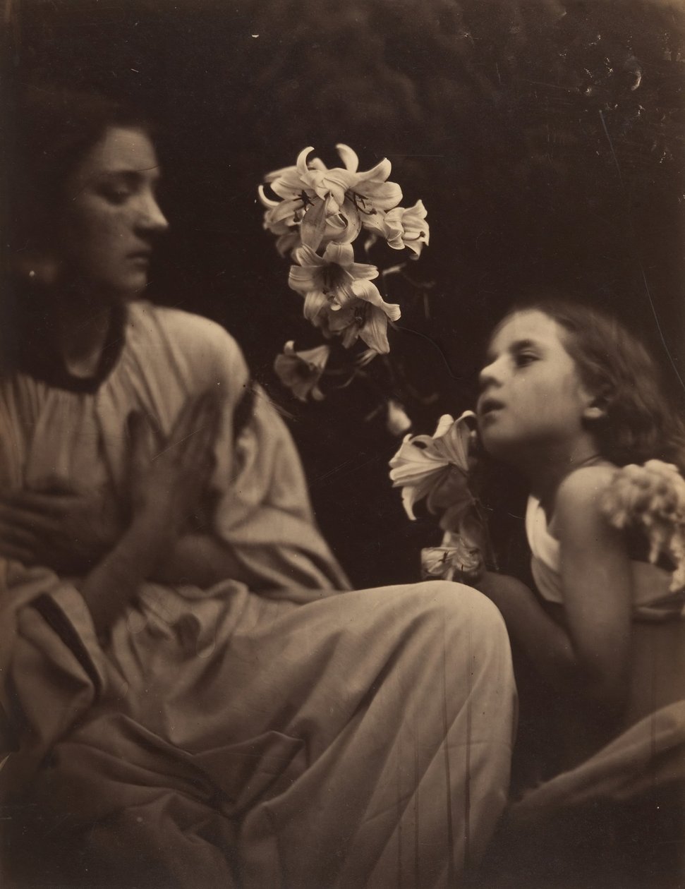 Studie, 1865-66. od Julia Margaret Cameron