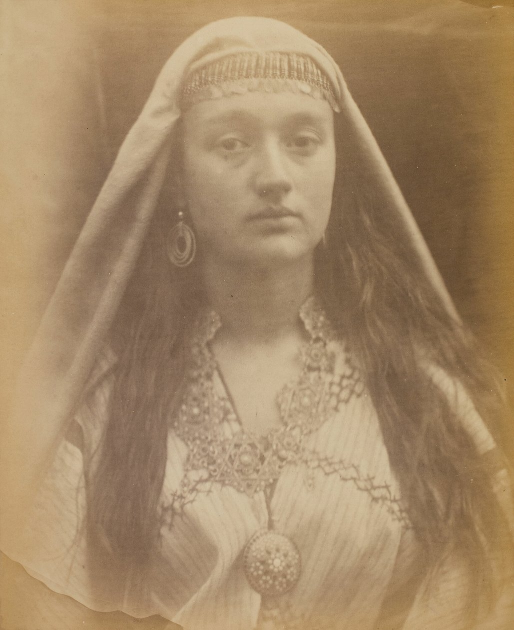 Balaustion, říjen 1871. od Julia Margaret Cameron
