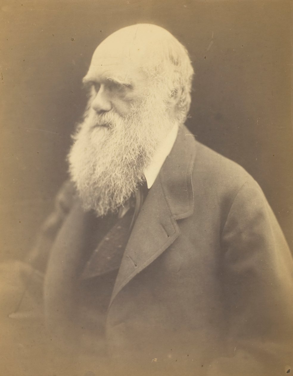 Charles Darwin, 1868. od Julia Margaret Cameron