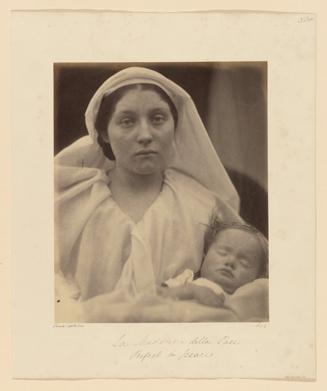 Panny Marie Míru od Julia Margaret Cameron