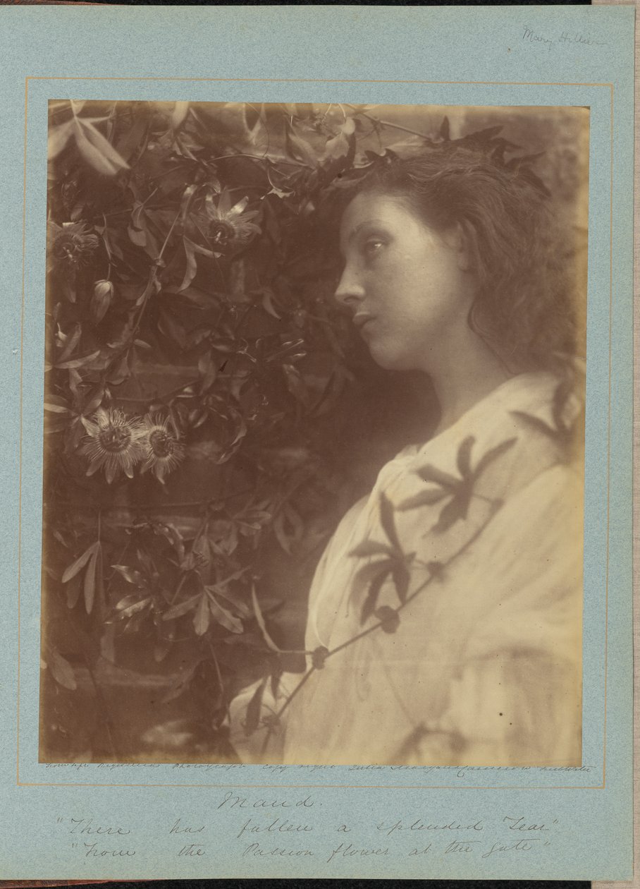 Maud od Julia Margaret Cameron