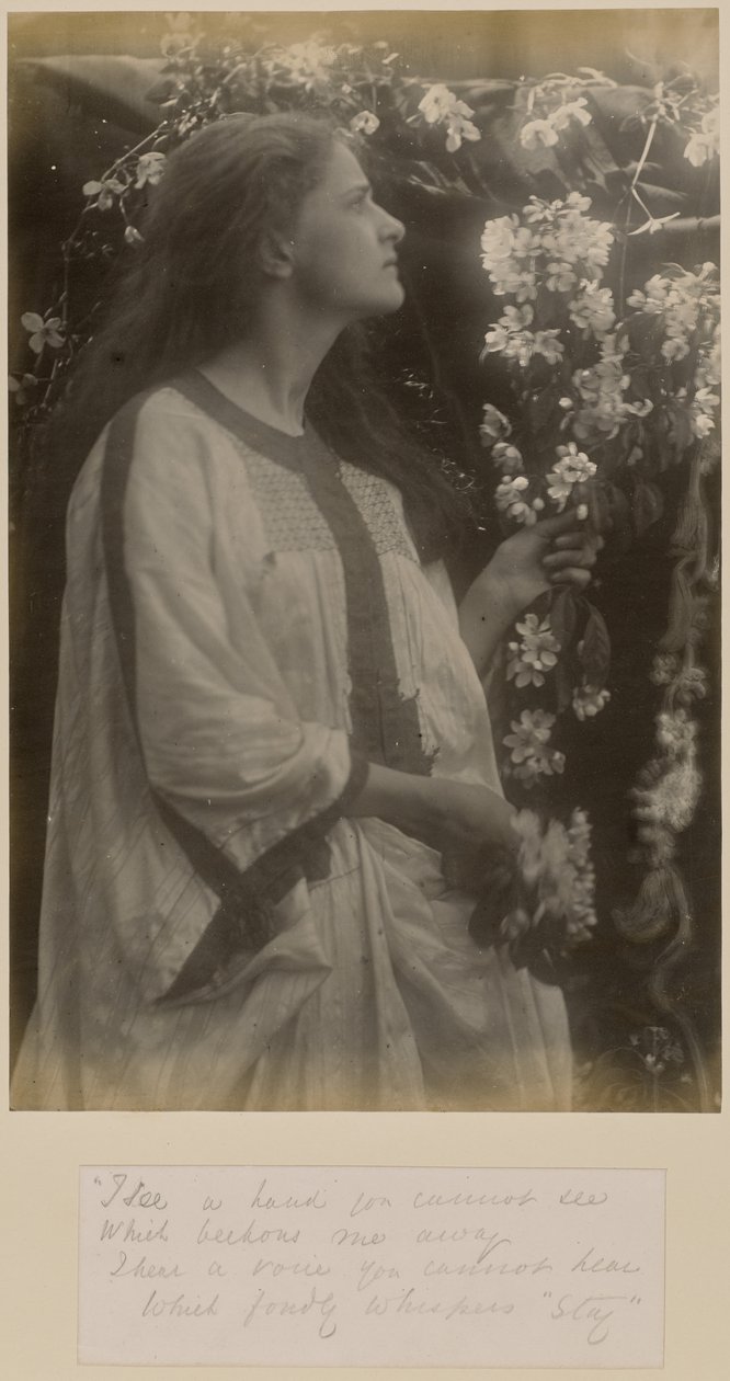 [Jaro] od Julia Margaret Cameron