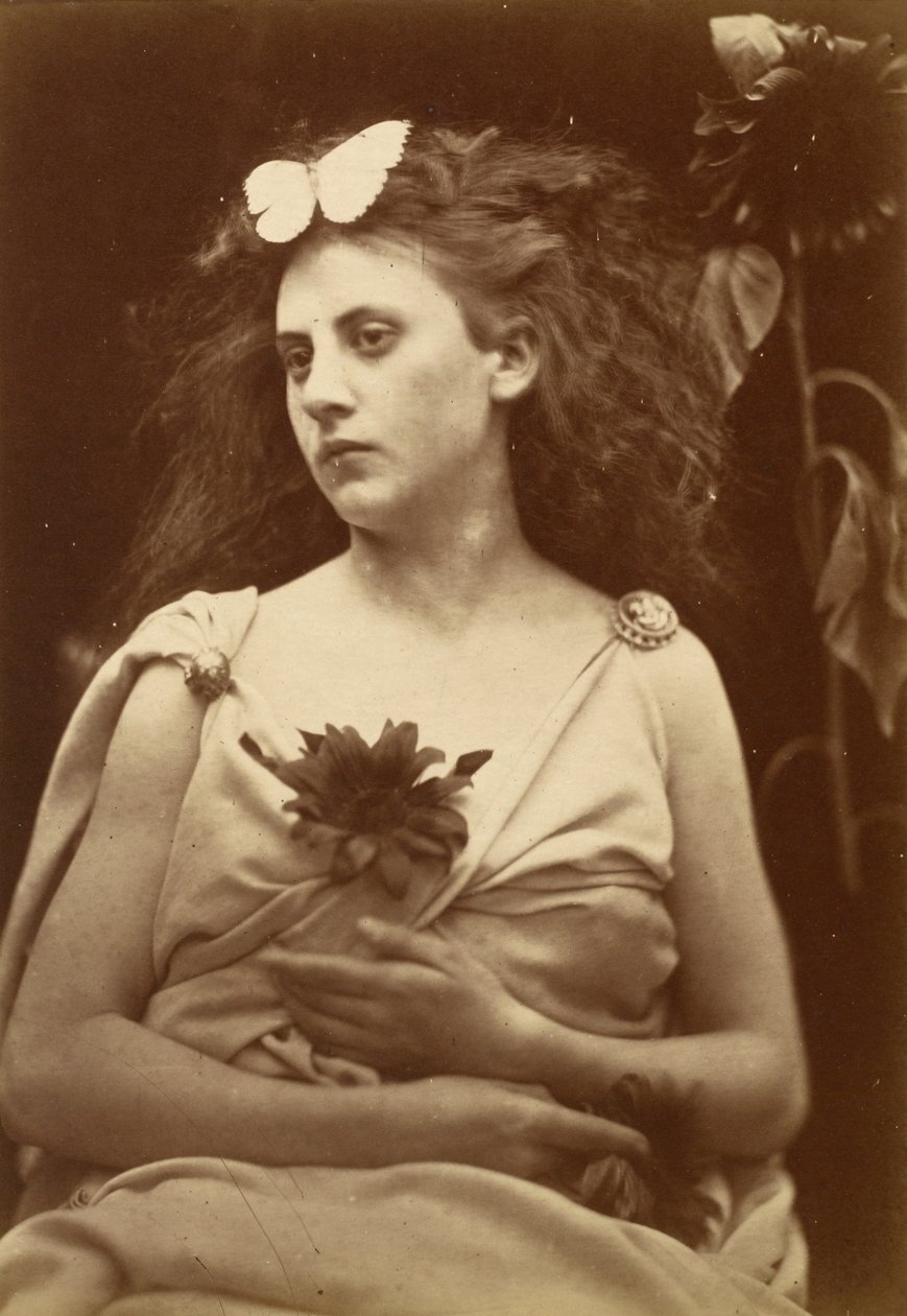 Slunečnice, počátek 70. let 19. století. od Julia Margaret Cameron