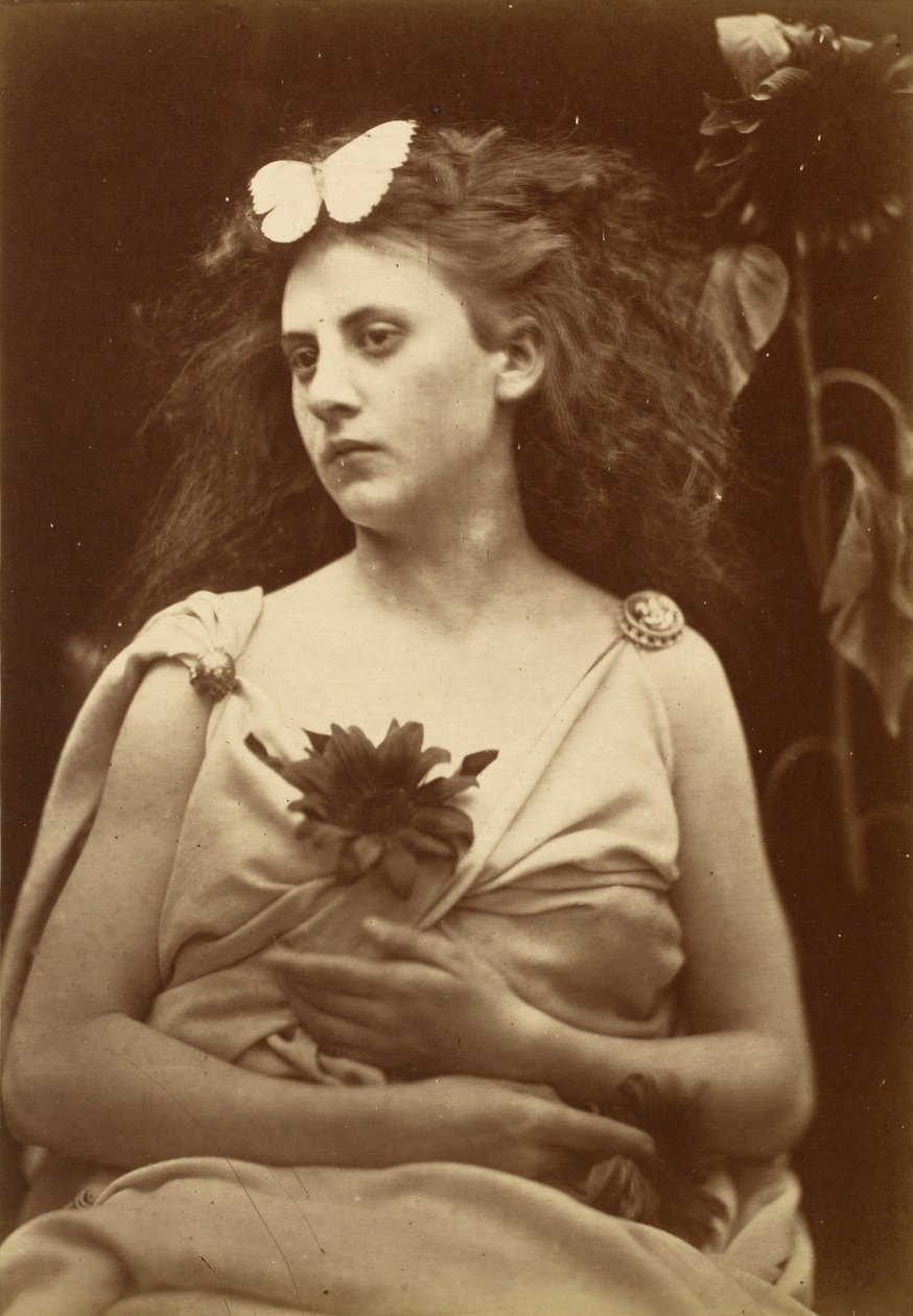 Slunečnice, počátek 70. let 19. století (foto) od Julia Margaret Cameron