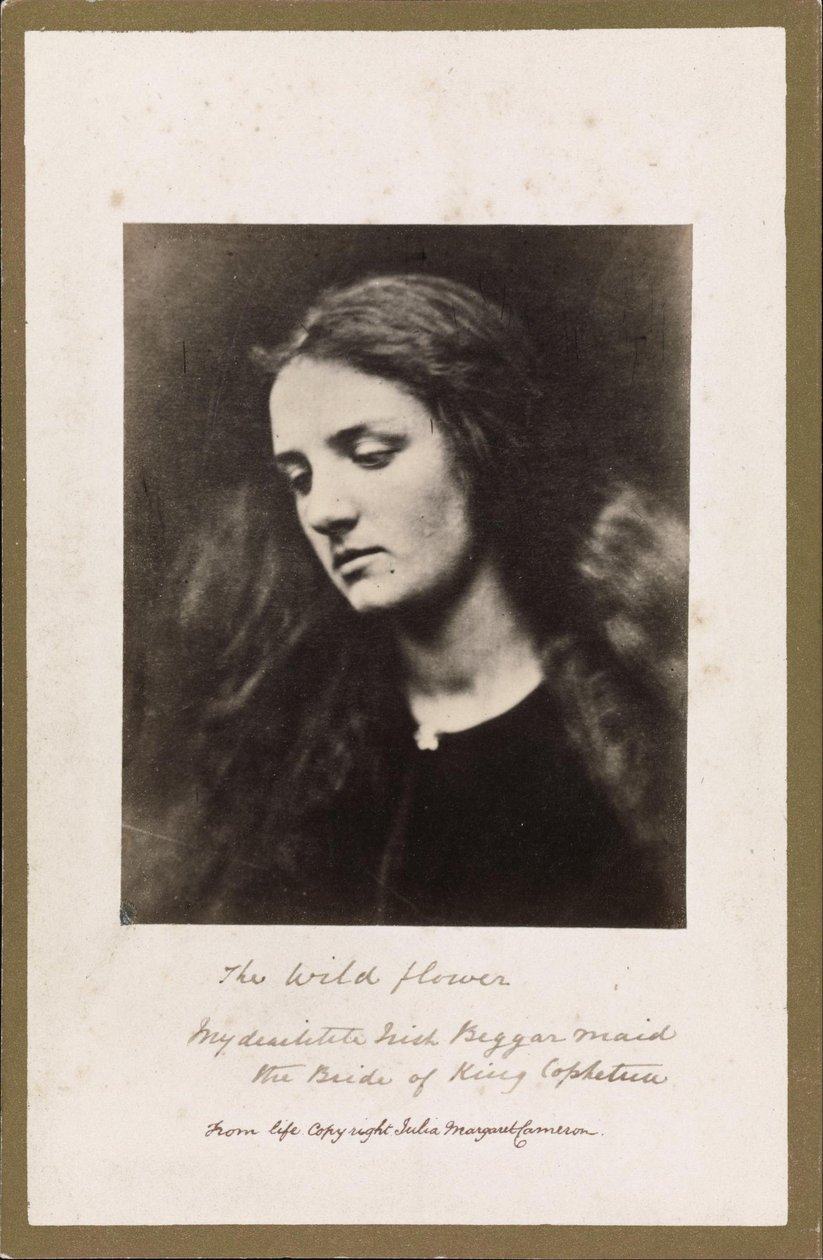 Divoká květina od Julia Margaret Cameron