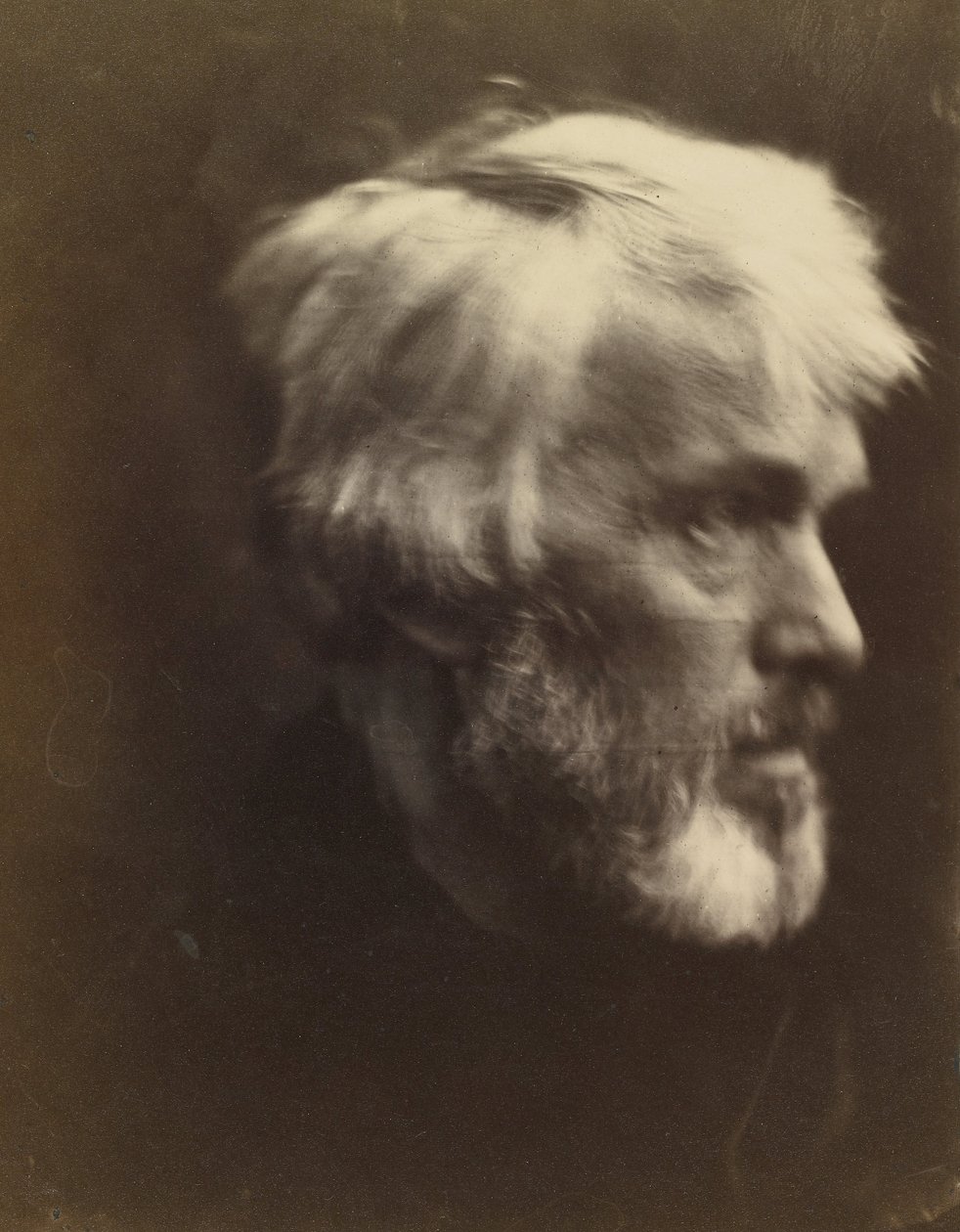 Thomas Carlyle (1795 - 1881) od Julia Margaret Cameron