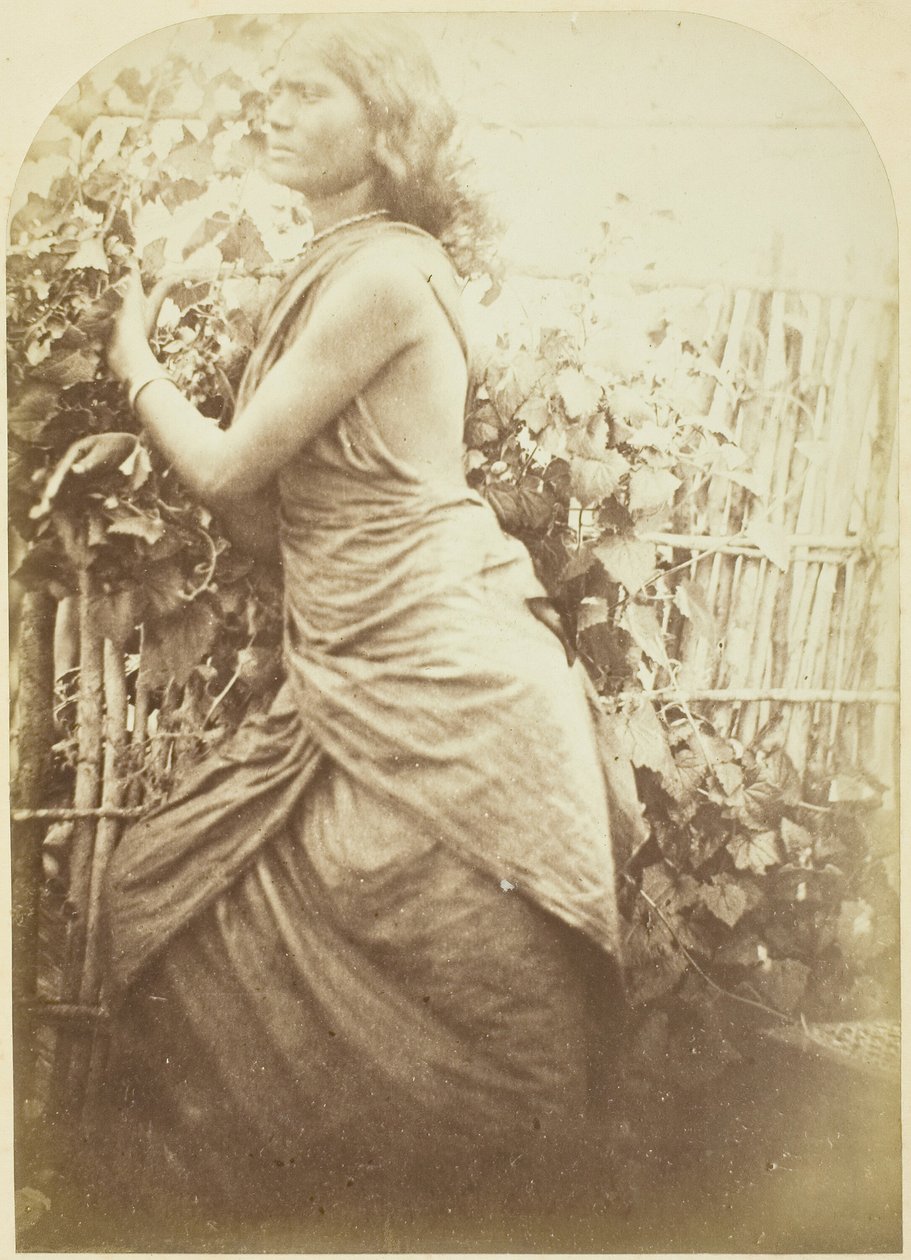 Žena, Cejlon, 187579. od Julia Margaret Cameron