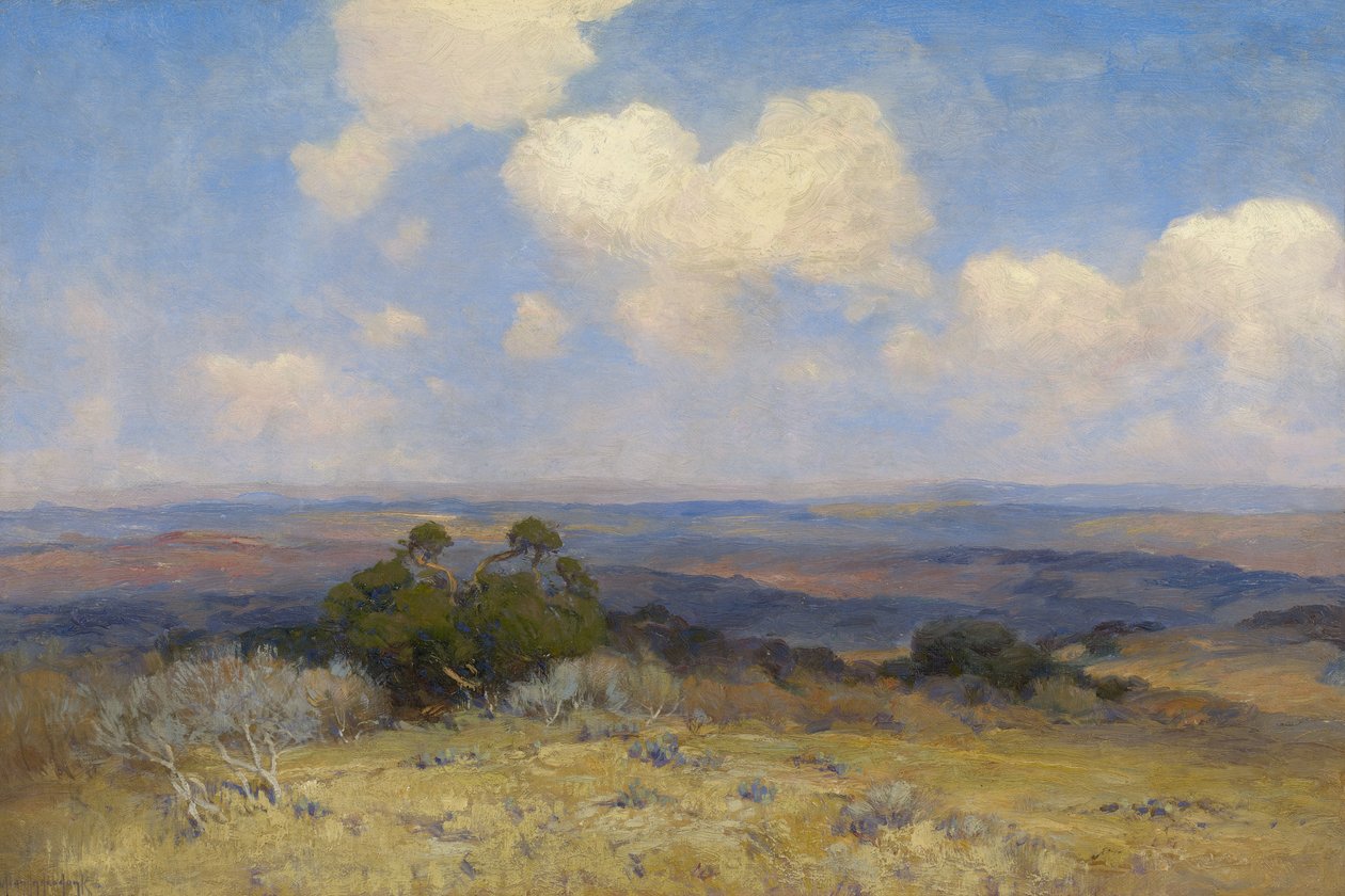 Sluneční světlo a stín, 1910 od Julian Onderdonk