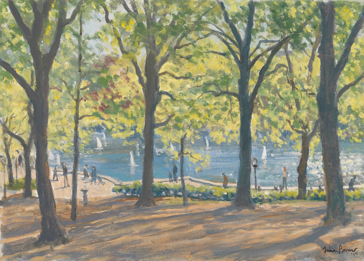 Central Park, New York, 2010 od Julian Barrow
