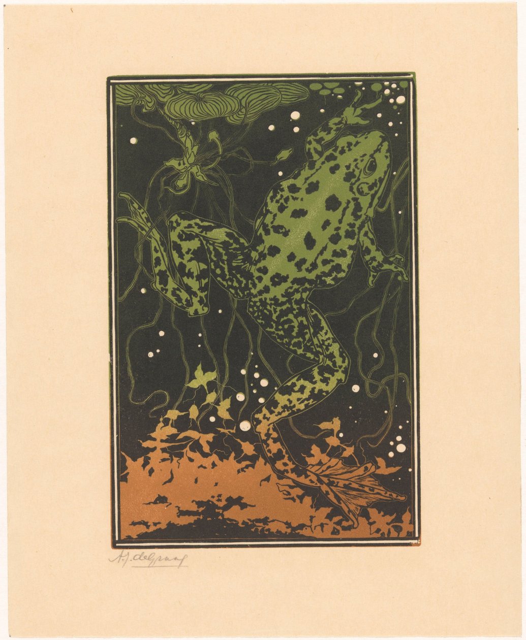 Plavání žába od Julie de Graag (signed by artist)