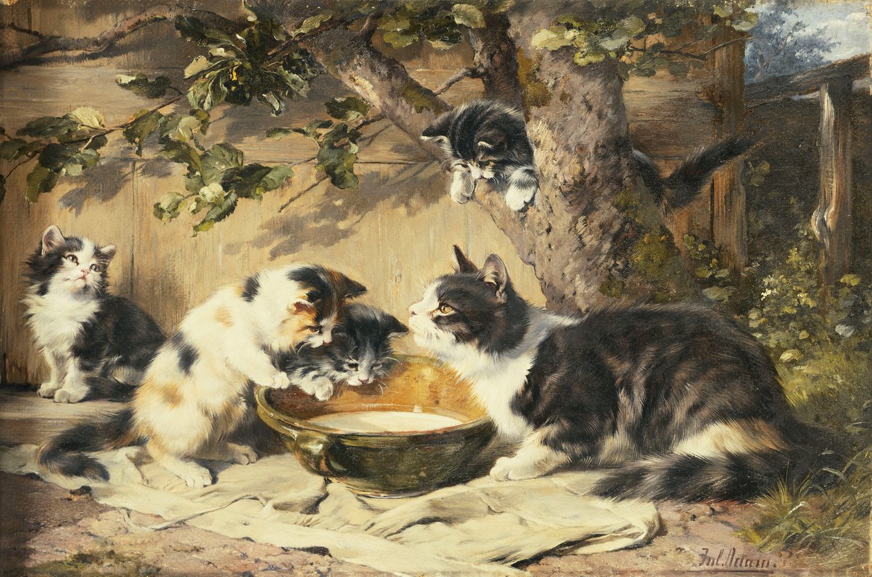 Miska mléka, od Julius Adam