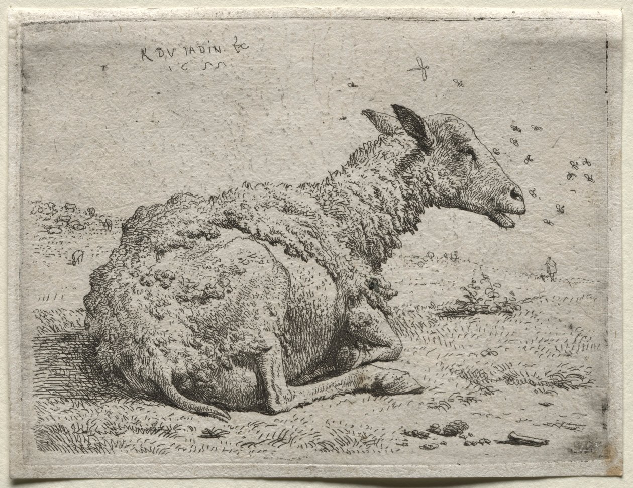 Ovce a mouchy. od Karel Dujardin