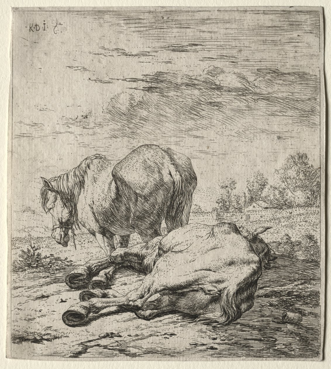 Dva koně od Karel Dujardin