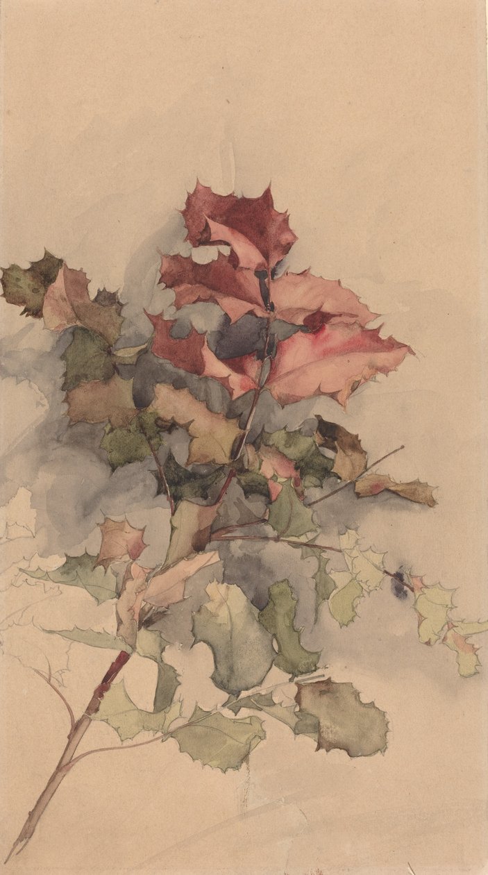 Studie keře od Karel Vitezslav Masek