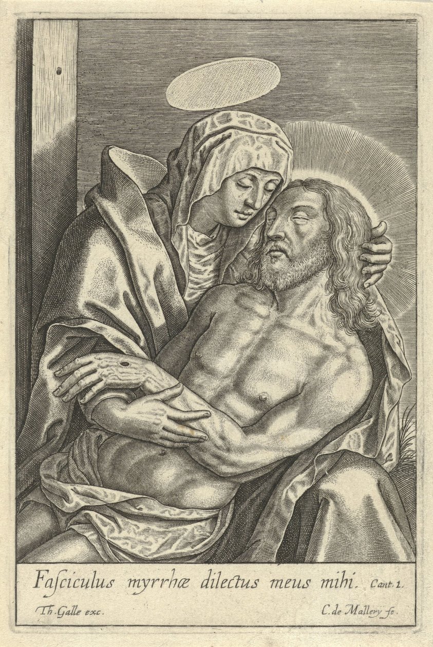Pieta od Karel van Mallery
