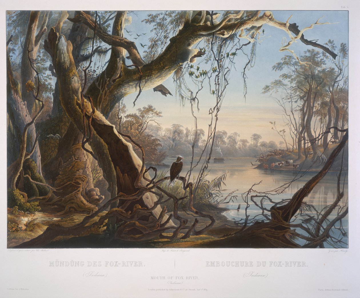 Mouth of Fox River (Indiana) od Karl Bodmer