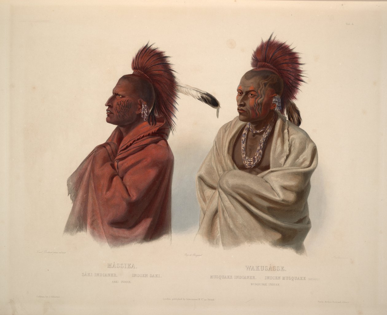 Saki indický a indický Musquake od Karl Bodmer