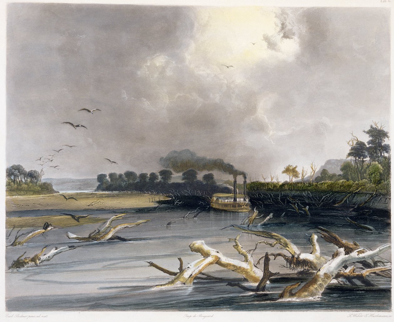 Snags (potopené stromy) na Missouri, deska 6 ze svazku 2 „Cesty ve vnitrozemí Severní Ameriky“, vyryté Lucasem Weberem a J. Hurlimannem, 1844 (akvatinta) od Karl Bodmer