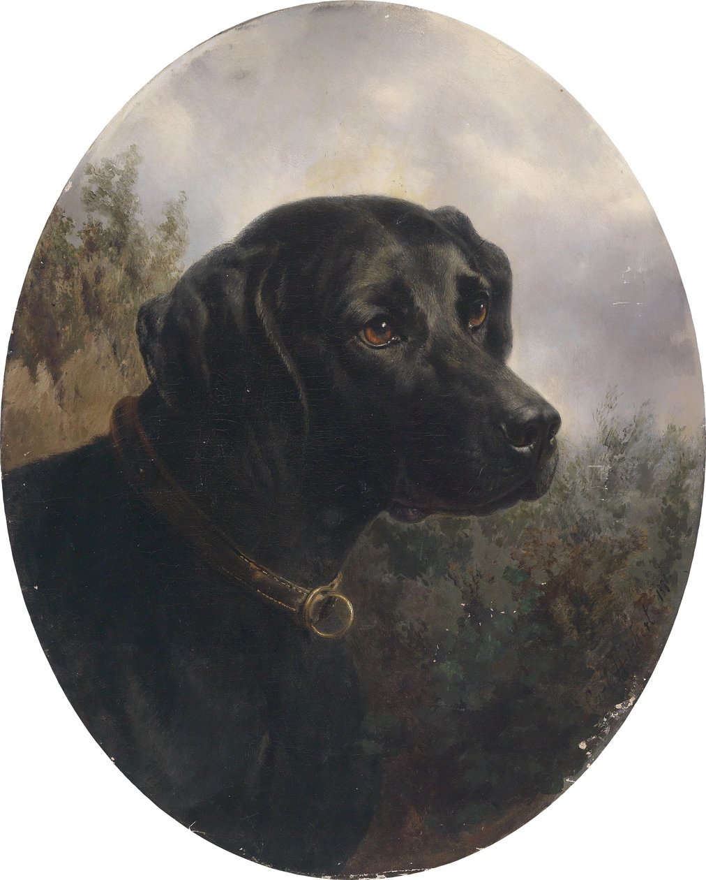 Hector, ohař Arthur Ritter v. Snapper od Karl Reichert