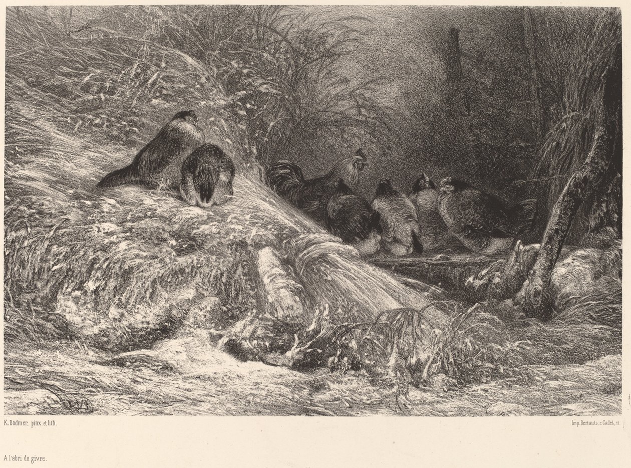 Chráněné před mrazem. od Karl Bodmer