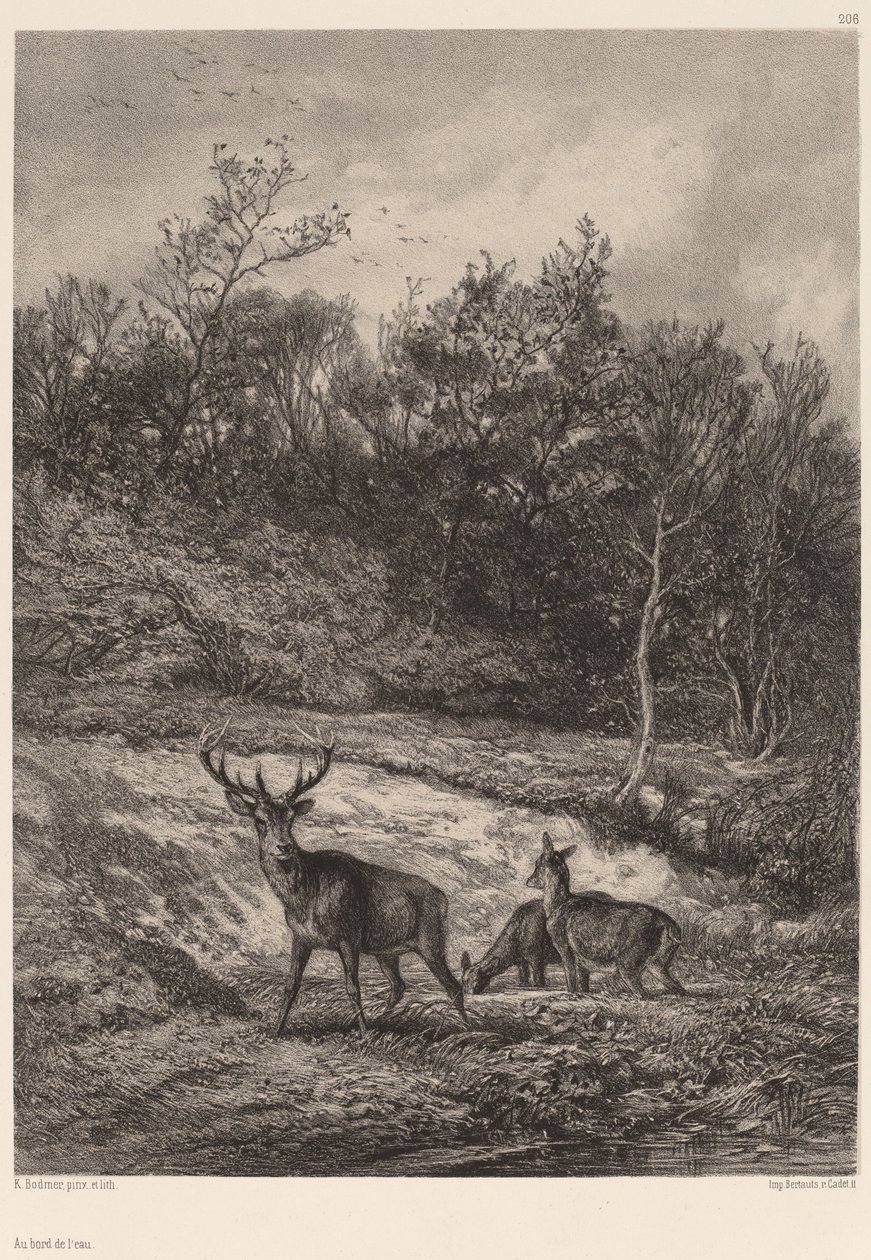 Na okraji vody od Karl Bodmer