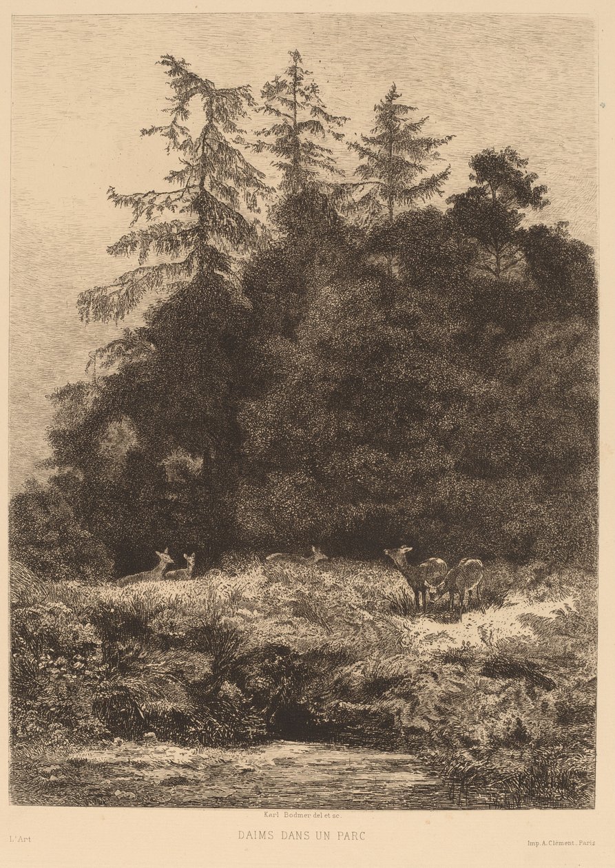 Daněk v parku. od Karl Bodmer