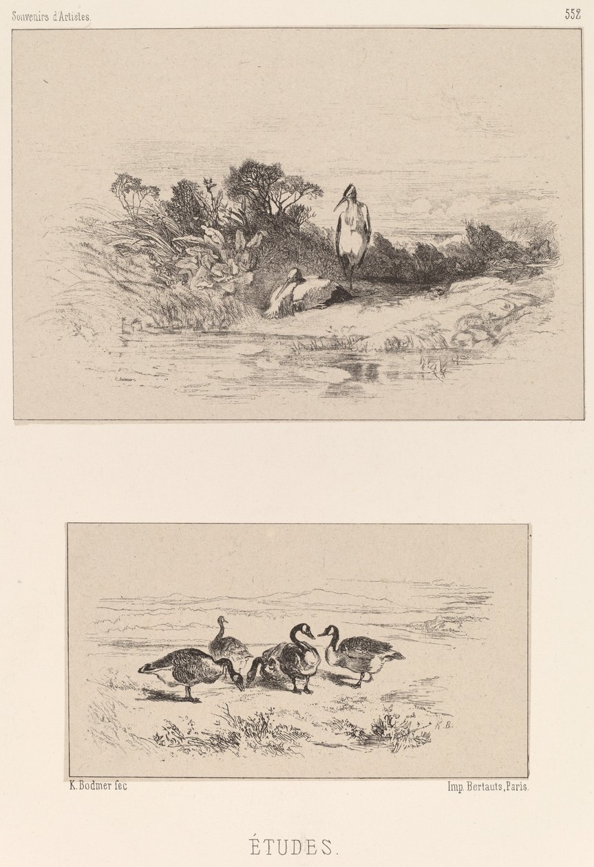Studie. od Karl Bodmer