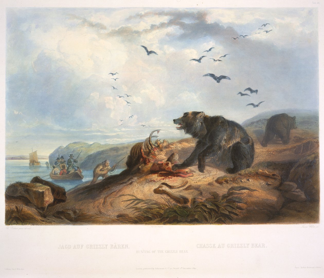 Lov medvěda grizzlyho od Karl Bodmer