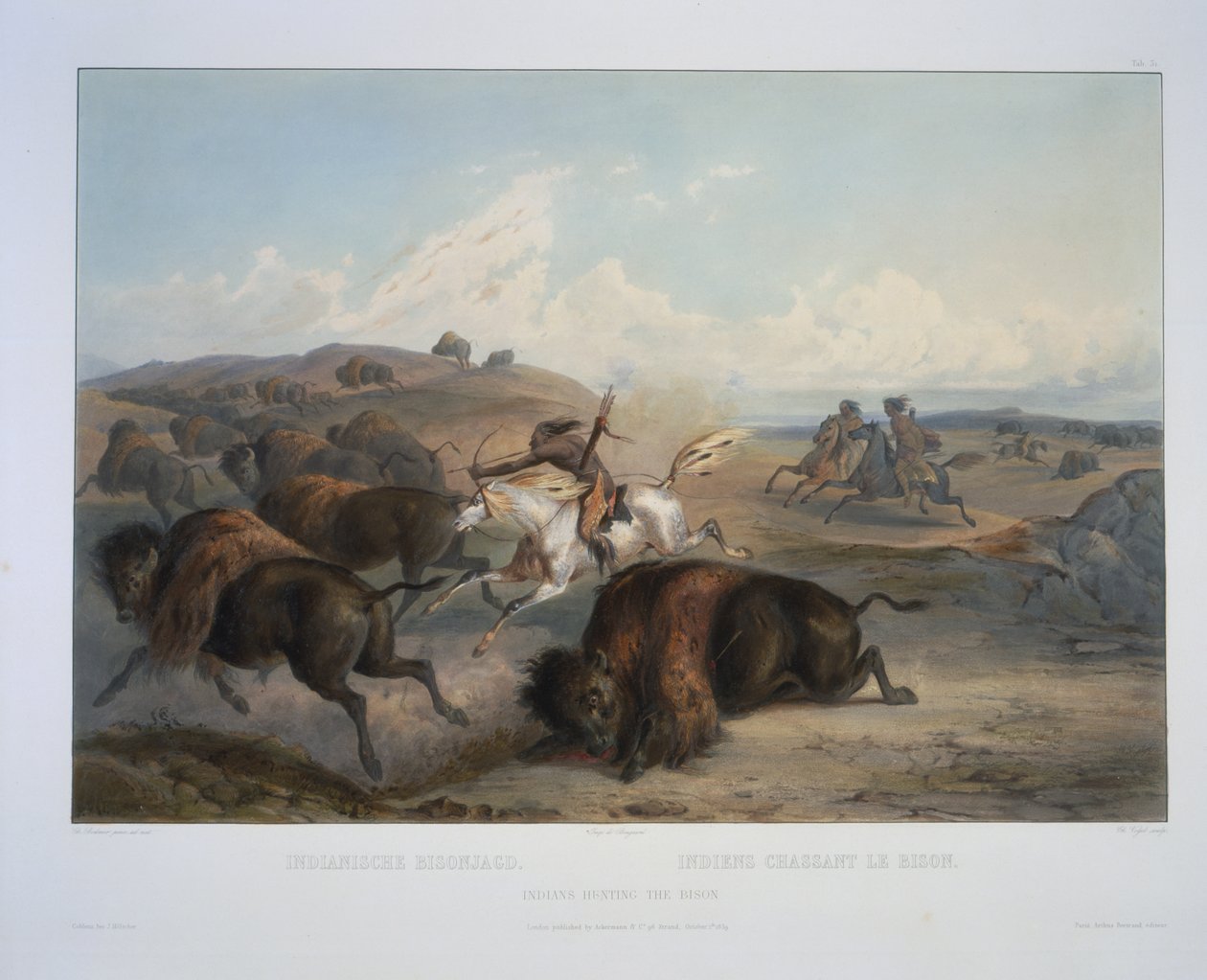 Indiáni lovící bizony od Karl Bodmer