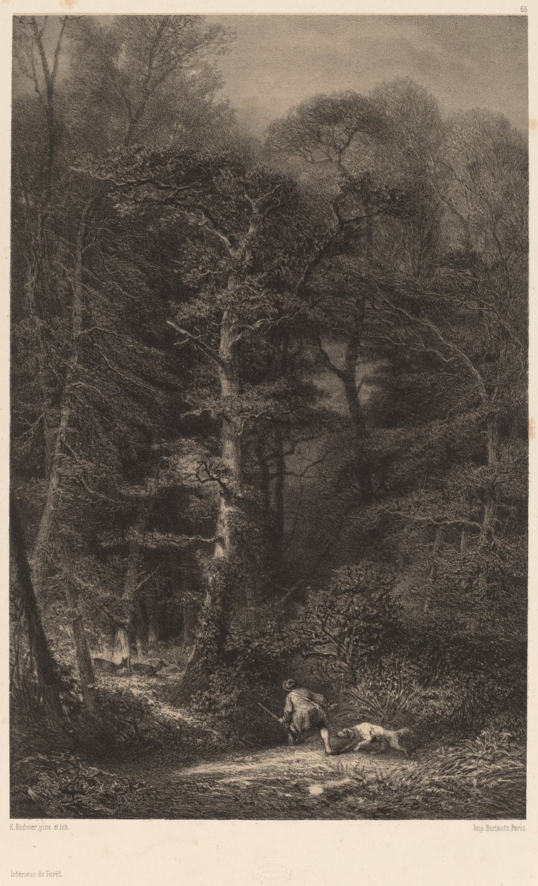 Interiér lesa od Karl Bodmer