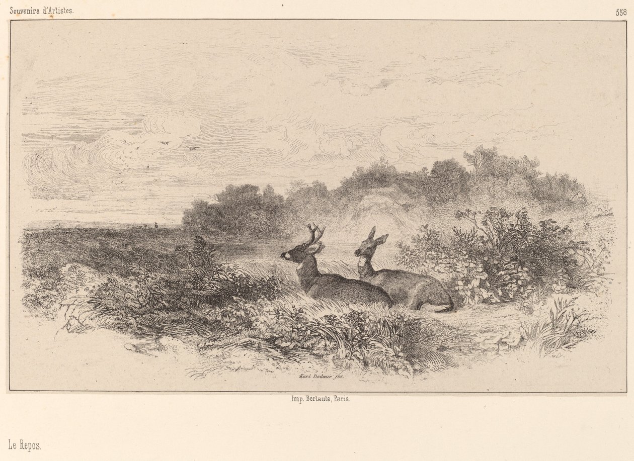 Odpočinek. od Karl Bodmer