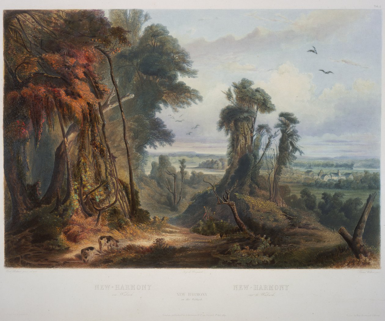 Nová harmonie na Wabash od Karl Bodmer