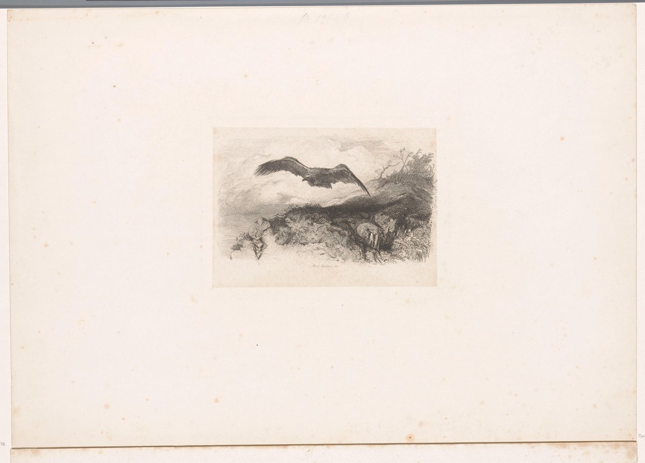 létající orel Krajiny se zvířaty (název série) od Karl Bodmer