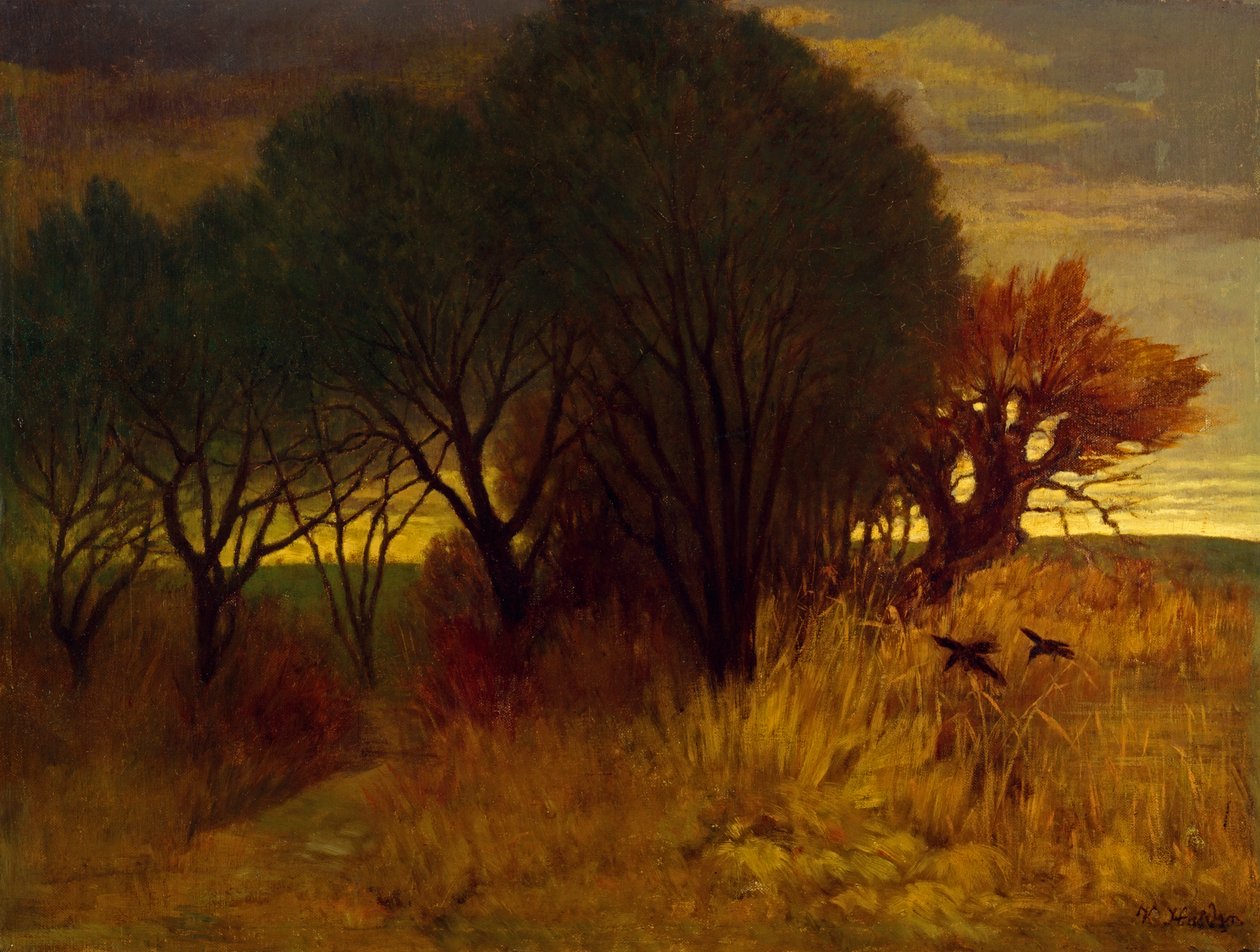 Moorlandscape od Karl Haider