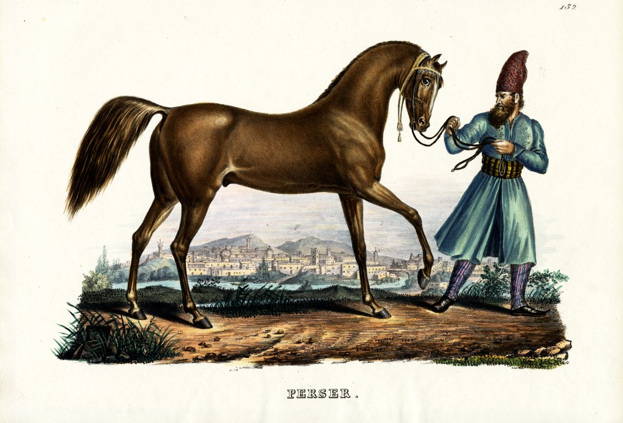 Perský kůň, 1824 od Karl Joseph Brodtmann