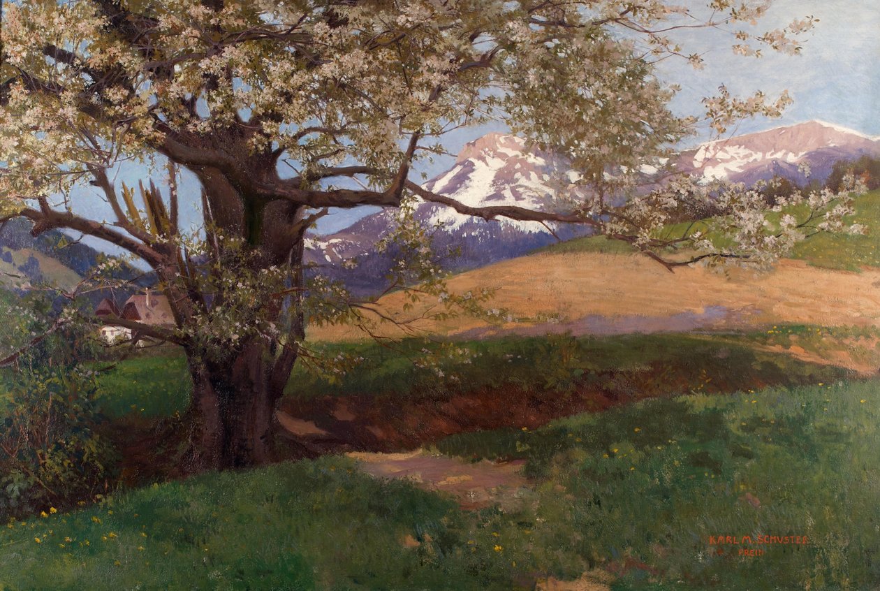 Kvetoucí třešeň od Karl Maria Schuster