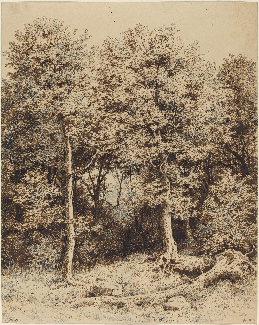 Kopec stromů od Karl Theodor Reiffenstein