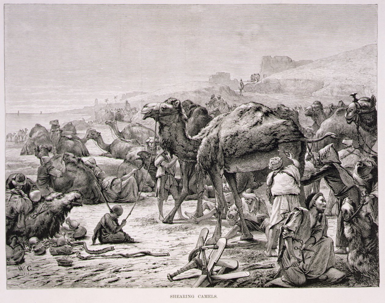 Stříhání velbloudů od Karl Wilhelm Gentz
