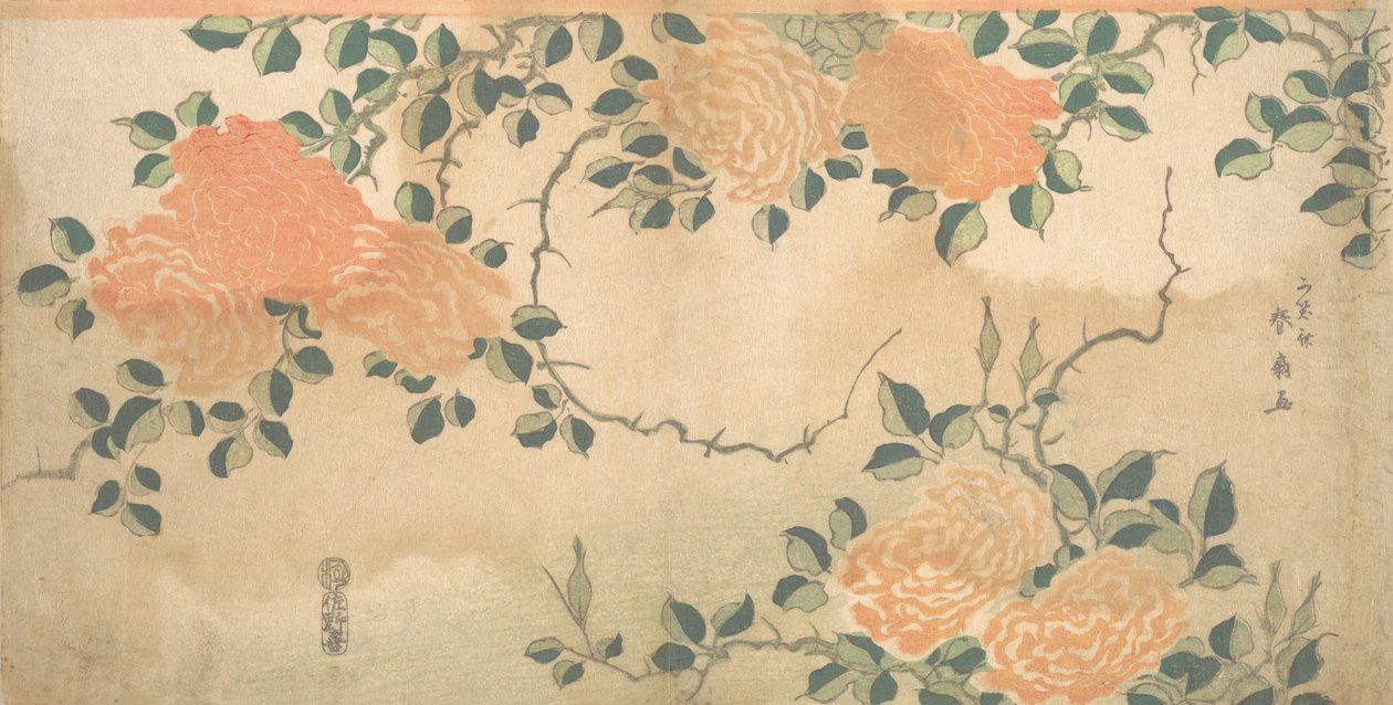 Růže, ca. 1810. od Kashosai Shunsen