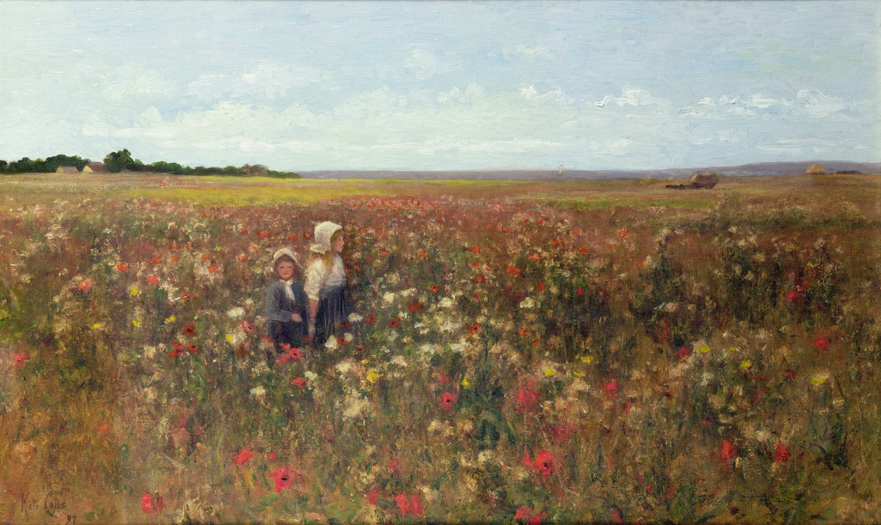 Makové pole, 1897 od Kate Colls