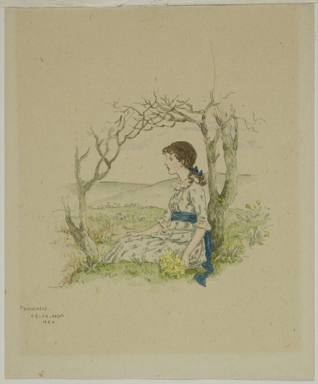 Sedící dívka s Primroses od Kate Greenaway