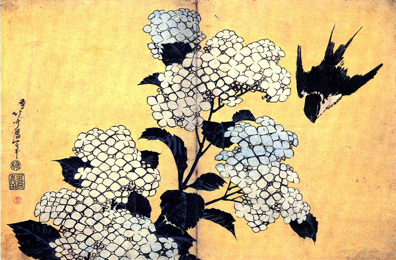 Hydrangea a vlaštovka od Katsushika Hokusai